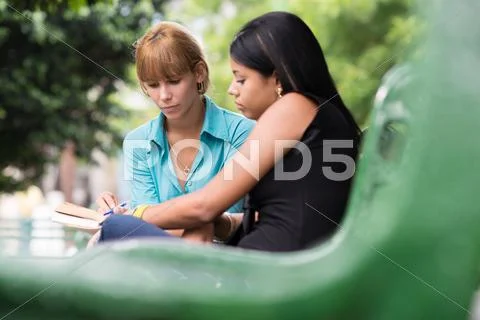 College students studying on textbook in park Stock Photos