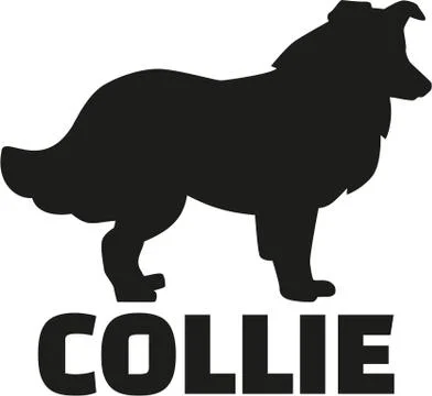 Collie with breed name Stock Illustration