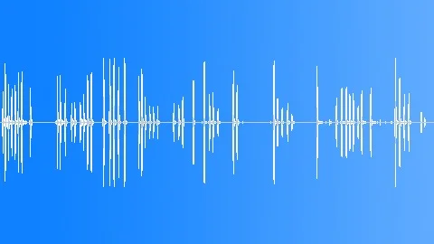 Collie Dog Barking Exterior Sound Effect