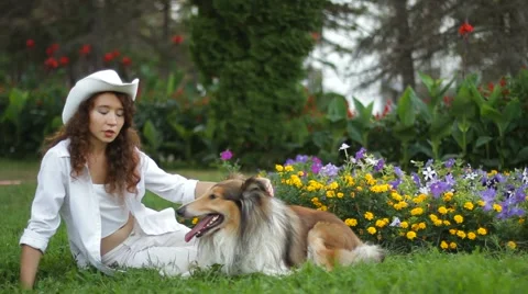 Collie DogIn The Park Video stock 63319435