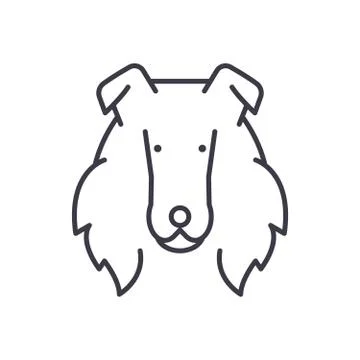 Collie  vector line icon, sign, illustration on background, editable strokes Stock Illustration