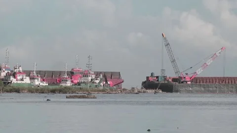 Collier Stock Footage 194658637