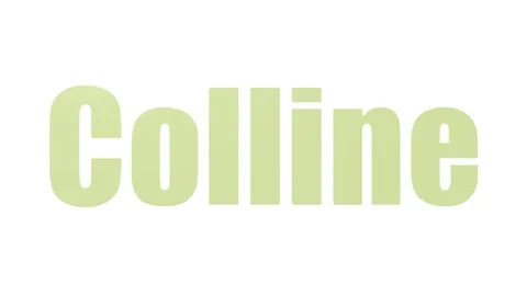 Colline Tagcloud Animated On White Background Stock Footage 103670103