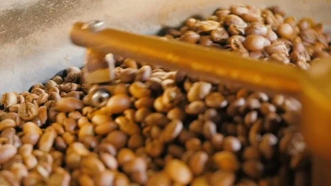 Colling of coffee beans Stock Footage 92542822