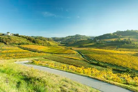 COLLIO Stockfoto's