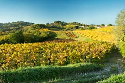 COLLIO Stockfoto's