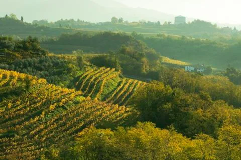 COLLIO Stockfoto's