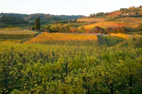 COLLIO Stockfoto's