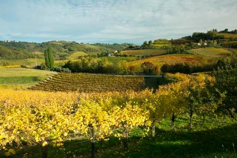 COLLIO Stockfoto's