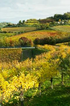 COLLIO Stockfoto's