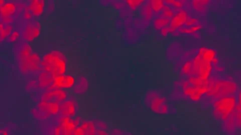 Collision of colored smoke blast waves. 3d rendering digital animation HD Stock Footage 239086571