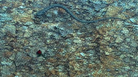 Collision Stock Illustration