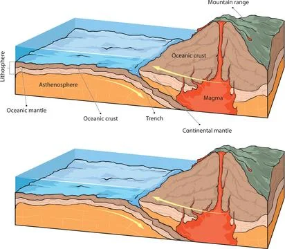 Collision - oceanic vs continental plates Stock Illustration