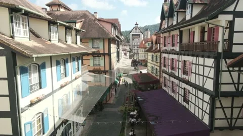 Colmar Tropicale Stock Footage 135742977