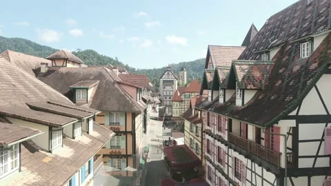Colmar Tropicale Stock Footage 135743110