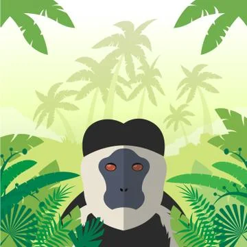 Colobus on the Jungle Background Stock Illustration