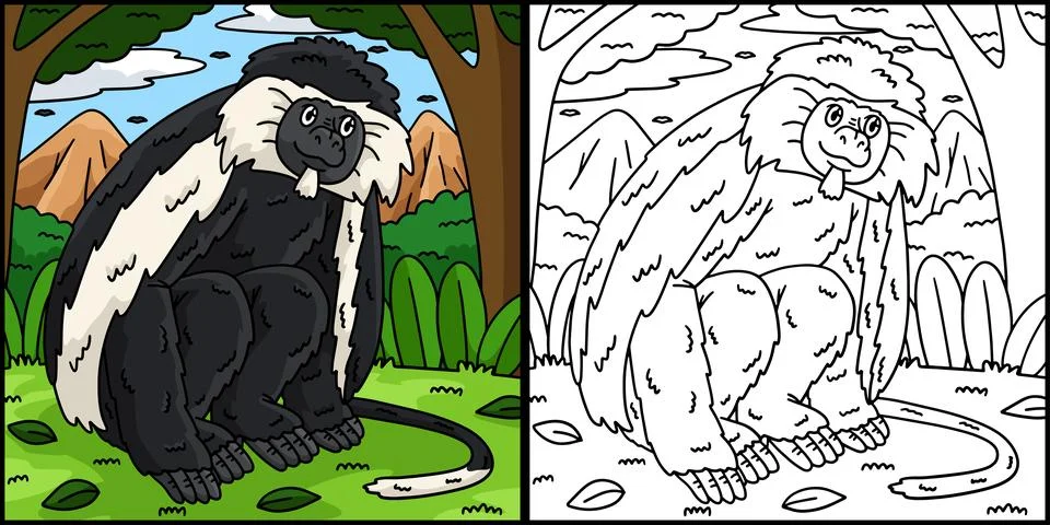 Colobus Monkey Coloring Page Colored Illustration Stock Illustration