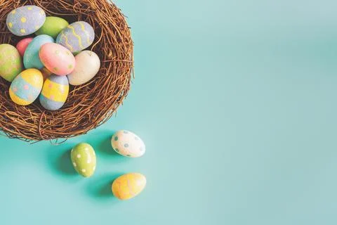 Coloeful easter eggs in nest on pastel color background with space. Stock Photos