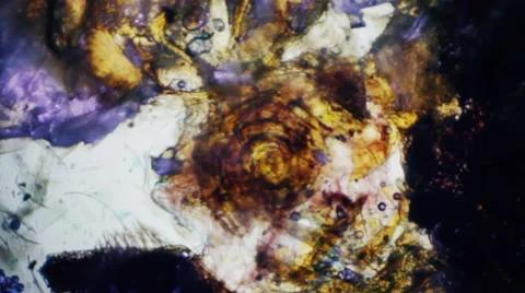 Coloful abstract pattern detaching from another one close up Stock-Footage 64901622