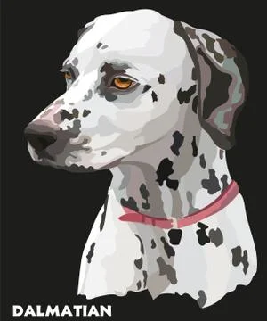 Coloful vector portrait of dalmatian Illustrazione stock