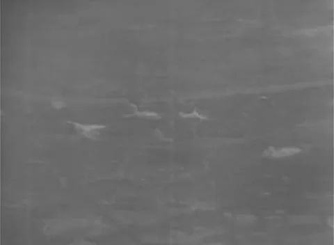 COLOGNE, GERMANY - 1944: Ground texture - Puffs scatter across terrain Stock Footage 344600644