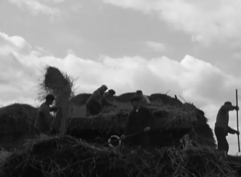 COLOGNE, GERMANY - 1945: Open sky - a forkful of straw rises high Vidéo 344599788