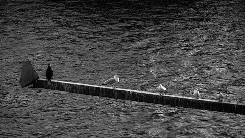 Cologne in Germany 库存照片