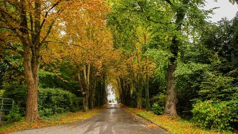 Cologne in Germany Stock Photos