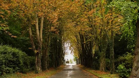 Cologne in Germany Stock-Fotos
