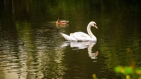 Cologne in Germany Stock Photos