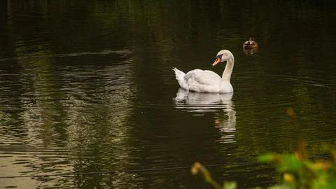 Cologne in Germany Stock Photos