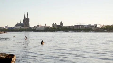 Cologne , Germany, Skyline Stock Footage 102885088