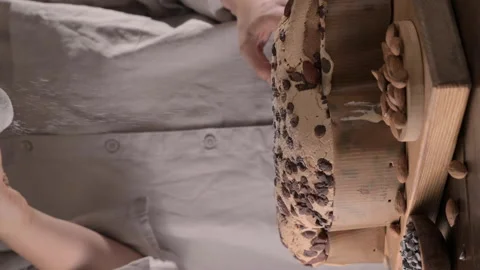 Colomba with chocolate. Easter Italian cake with almonds and chocolate in the Stock Footage 233622136
