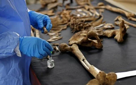 Colombia and the titanic task of identifying more than 100,000 disappeared perso Stock Photos