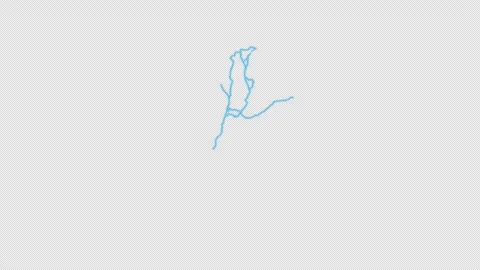 Colombia Country Line Map Self Drawing Animated Overlay, Alpha 4K 스톡 동영상 340288971