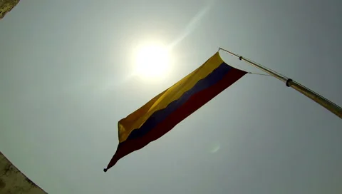 Colombia Flag 2 2.7K Stock Footage 55393199