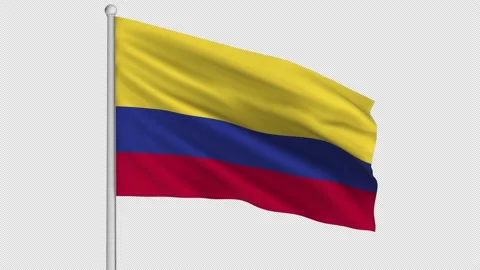 Colombia Flag 動画素材 211472825
