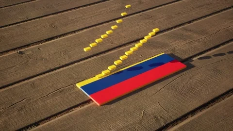 Colombia Flag - Slow Motion Stock Footage 318739789