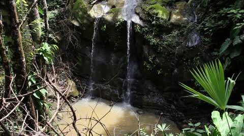 Colombia Rain Forest watefall 1 Stock-Footage 24974442