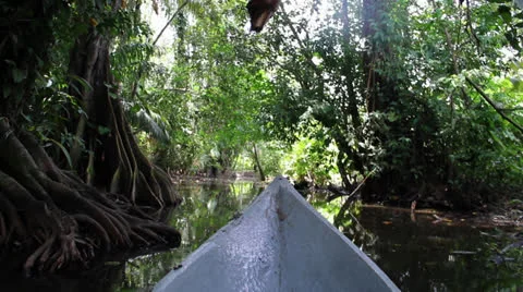 Colombia swamp in canoe 2 Stock-Footage 24973974