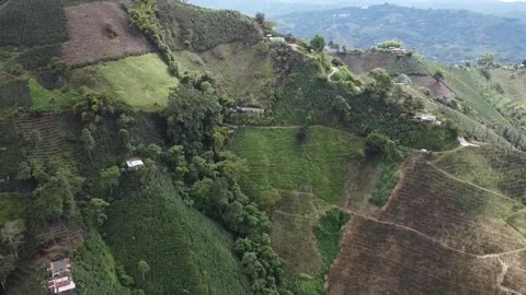 Colombian coffee axis 2 Stock Footage 237965053