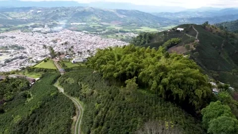 Colombian coffee axis Stock Footage 237961678
