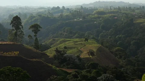 Colombian Coffee Region Triangle Eje Cafetero in the Andes mountains South Stock Footage 320892405