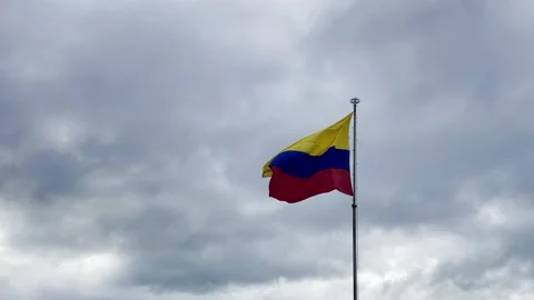 Colombian Flag Vidéo 160835086