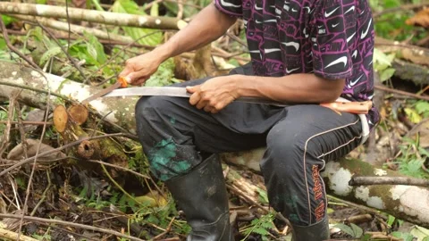 Colombian Indians cut down trees in the Amazon. Stock Footage 259073906