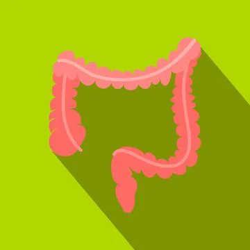 Colon flat icon with shadow Stock Illustration