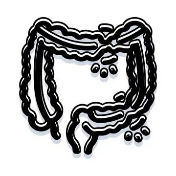 Colon human anatomy with polyps and diverticula creating health issue concept Stock Illustration