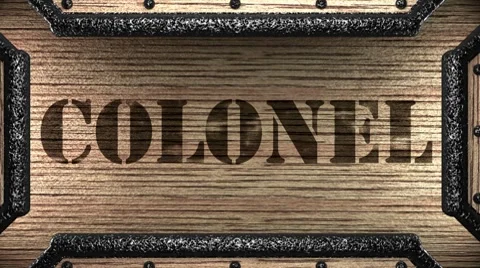 Colonel on wooden stamp Видео 8646474
