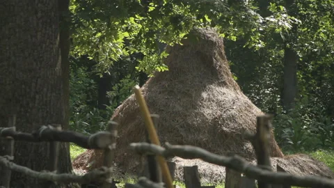 Colonial American Primitive haystack, Pioneer Homestead - 17th Century Village Stock Footage 204741379