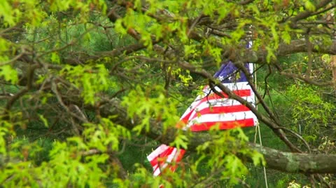 Colonial Flag being raised after victory Stock Footage 12162142
